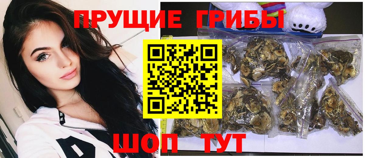 Белгород  Галлюциногенные грибы Magic Shrooms  Вход с VPN 
